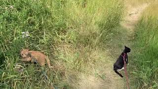 公園で初めての散歩