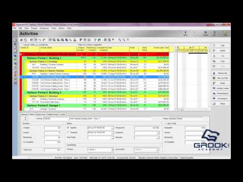 Primavera P6 3.1 Building P6 Data (Admin preferences, categories and currencies)