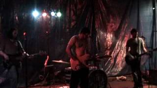 Organ Blues BlackWater