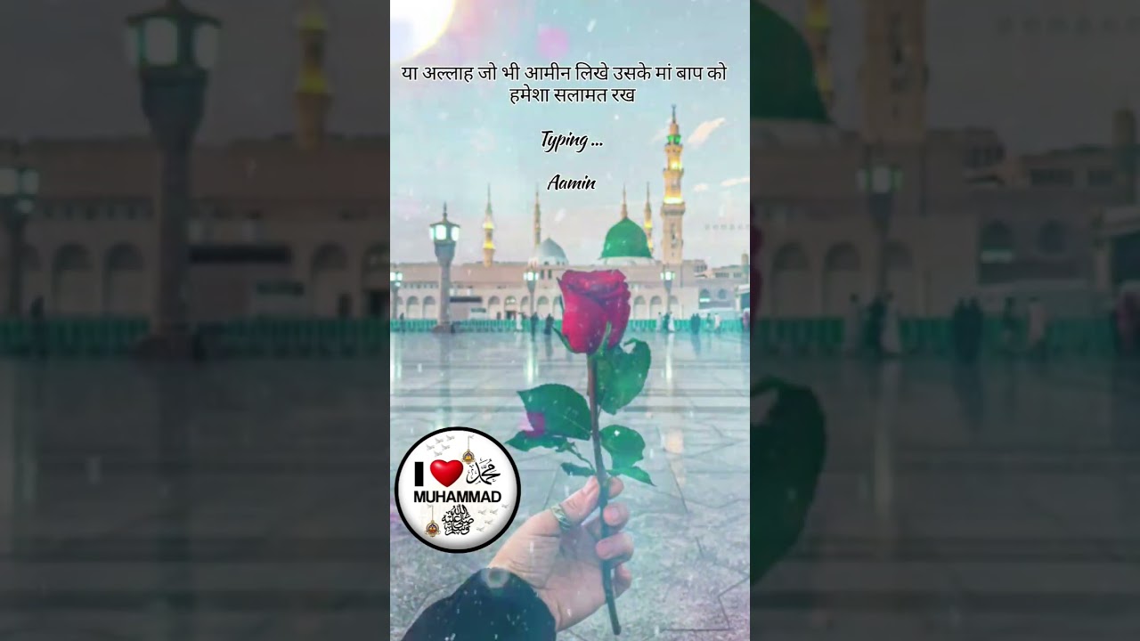 #love #fatima #yaabbas #yaali #imamhussain #imamhussain #mustafamustafa #mustafamustafa #islamicnaa