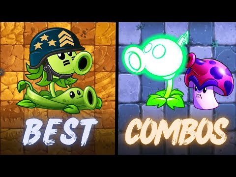 PvZ 2 Random Pair Plant Vs Team Newspaper Zombie Level 10 - Which is Team Plant?