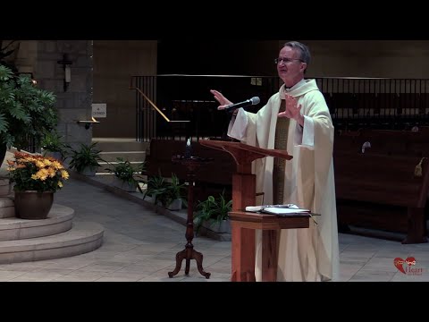 Video Homily - Be Grateful for Whatever Unfolds in Your Life