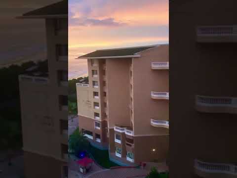 Cox,s bazar Royal tuilp