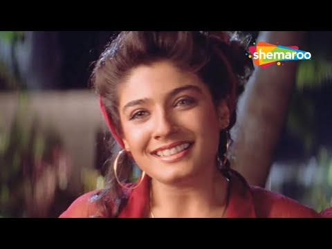 Yaadein Teri Yaadein | Yeh Lamhe Judaai Ke (2004) |Shahrukh Khan | Raveena Tandon | Dard Bhare Gaane