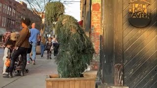 Bushman Scare Prank Halloween edition part 2