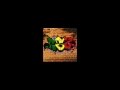 R.S.Z Zeb REMIX LINO SUICIDE COMMERCIAL ...
