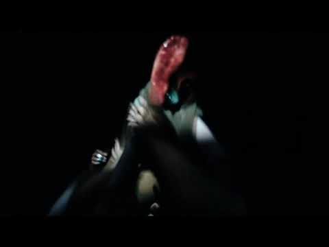 Video thumbnail for Half Alive