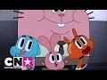 Celebra O Teu Aniversário Aniversário Com CN Aniversários CN Cartoon Network