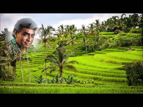 Gamen Liyumak Awilla - Clarence Wijewardena - Lyrics - HD