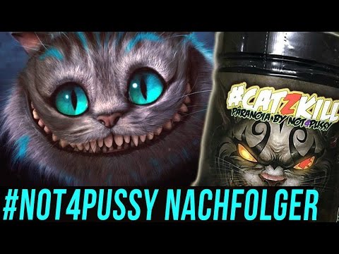 WIR BALLERN EINE PUSSY! CATZKILL Dat xtra Scoop 3.0 TEST