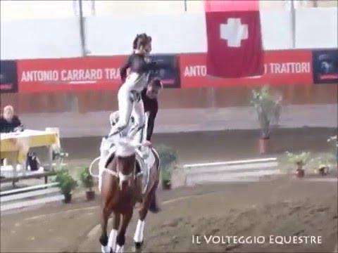 CVI Portogruaro 2016 - Volteggio - Sq 3* - 1° Pill-Austria