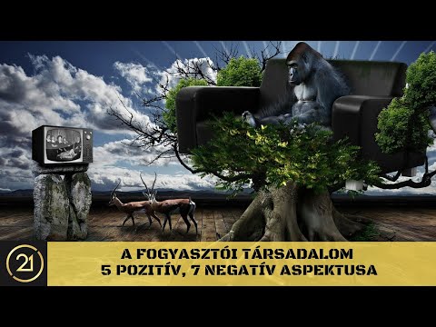 A fogyasztói társadalom 5 pozitív, 7 negatív aspektusa / 21VloG Vona Gáborral