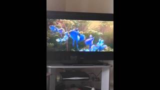 Rio 2 beautiful creatures