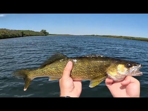 Lovering Lakes Fishing by SaskCast Angling