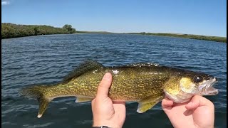 Lovering Lakes Fishing by SaskCast Angling