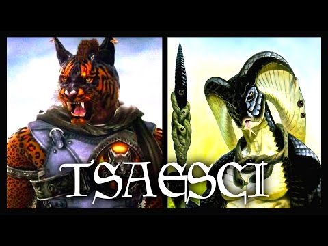 Elder Scrolls Lore - Akavir Saga: Legend of the Tsaesci (FINALE | Ch. 5)