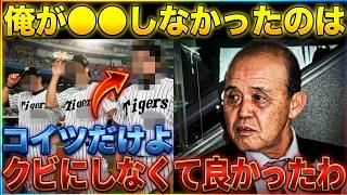 ⚾ 2026年日本プロ野球ハイライト｜クラッチプレーと勝利の瞬間