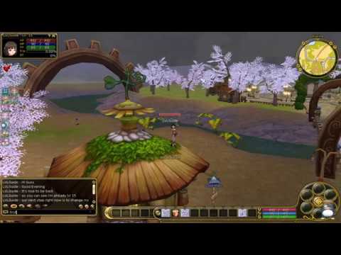 Flyff Playpark 1st Change Job from Vagrant to Magician