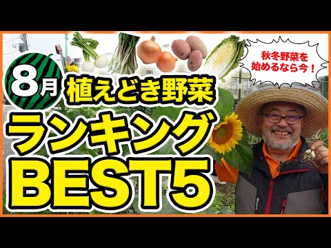  8月には何を植えますか？季節の主役野菜や花々にズームアップ！  庭園
