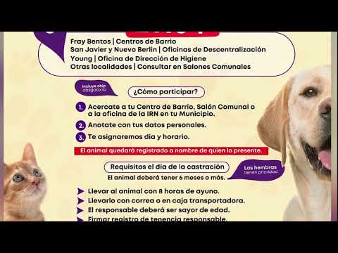 Castraciones en Rio Negro para perros y gatos