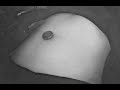 Belly Roll 4