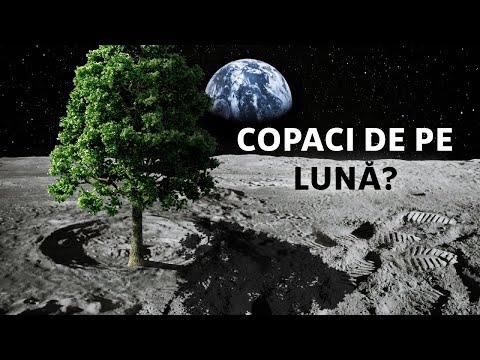 Moon Seeds Grown on Earth