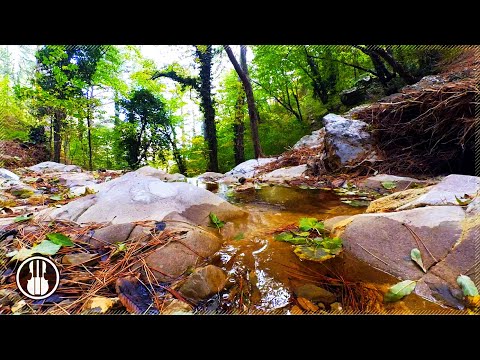 Klares Wasser im Gebirgsbach - 12 Stunden entspannende Naturgeräusche zum Schlafen oder Studieren