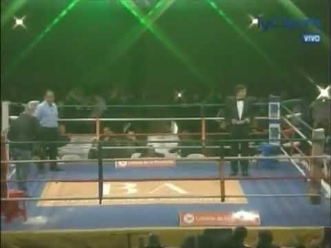 Martin bibbo vs zayac