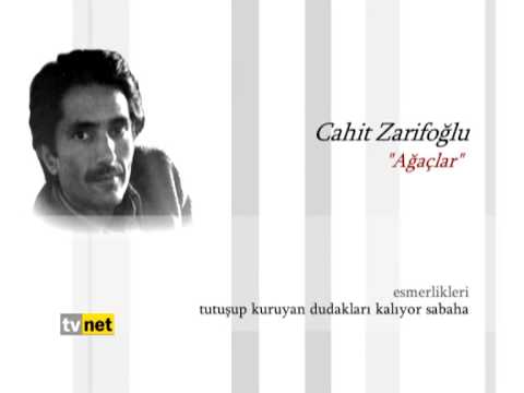 MOLA / CAHİT ZARİFOĞLU & AĞAÇLAR