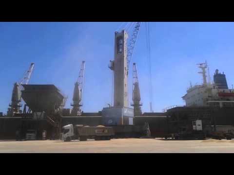 Discharge crane operations of wheat in bulk during draft survey and weight control at Castellon port