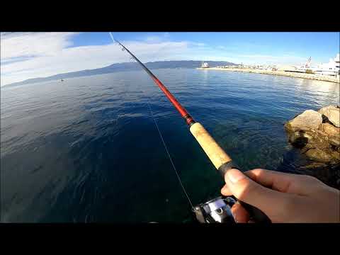 Fishing in Port of Rijeka - Terminal