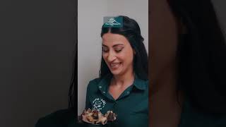 Իվանը՝ շների կերի փոխարեն🐕‍🦺 #JimiJimi #ՋիմիՋիմի #Shorts #Comedy #PanArmenianTVOfficial