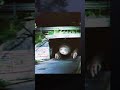 BRIDGE WORM - trevor henderson creature #4 #shorts
