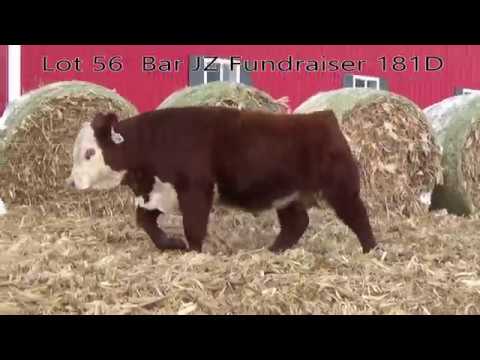 Lot 056 Bar JZ Fundraiser 181D