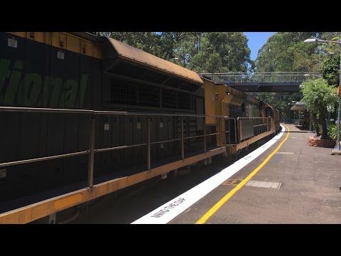5BM7 with LDP009, LDP004 and 6009 at Normanhurst