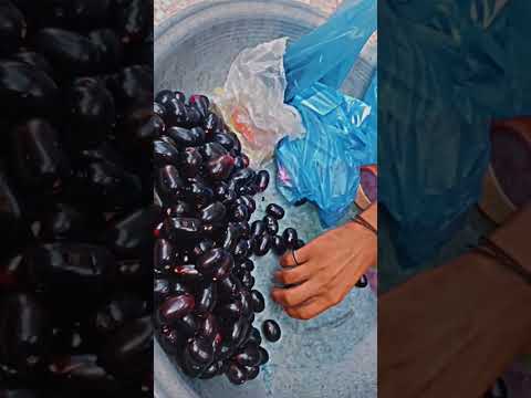 Jamun Fruit # summer Fruit # shorts video # 😋👍🏻