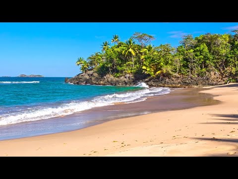 Olas del Paraíso - Playa Hermosa con Sonidos Relajantes del Mar sin Música #3