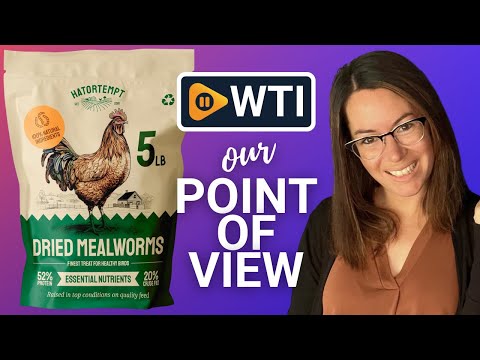 Dried Mealworms 5 lbs - WTI product video review