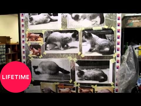 Grumpy Cat at Jim Henson's Creature Shop | Lifetime