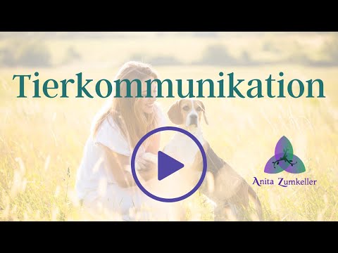 Was ist Tierkommunikation? - mit Tieren kommunizieren