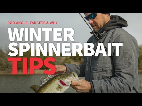 Winter SPINNERBAIT Tips (Rod Angle, Targets & Why the Spinnerbait)