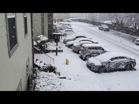 Tulsa, OK Snow 13, December 2020