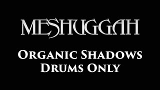 Meshuggah Organic Shadows DRUMS ONLY