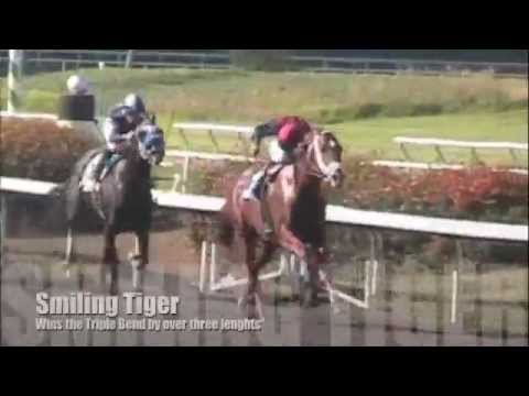 Back to the Front for Smiling Tiger in Triple Bend