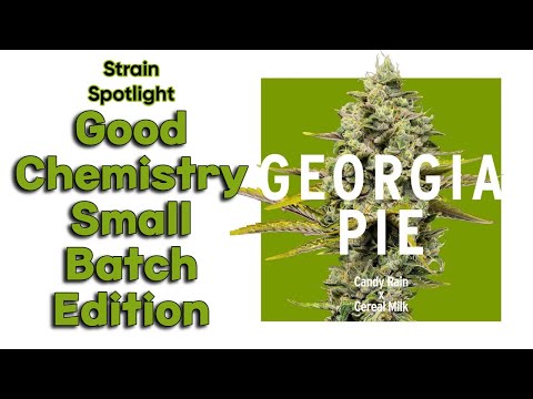 Georgia Pie - Strain Spotlight
