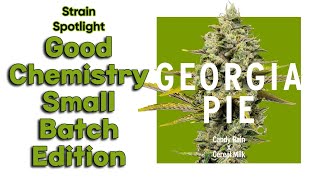 Georgia Pie - Strain Spotlight