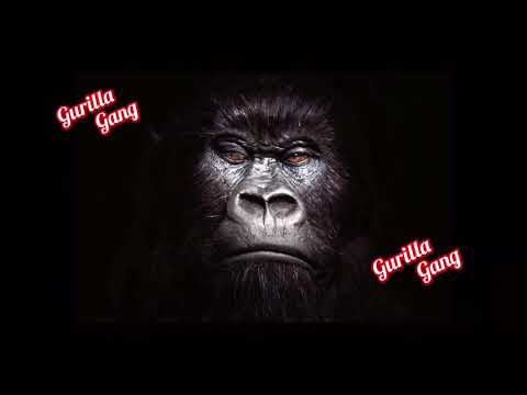 Gurilla Don & Gurilla Nassir - Mosh Pit [803Mixtapes]