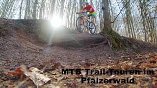 Mountainbike - Trails im Pfälzerwald... Perfekter Start ins Frühjahr