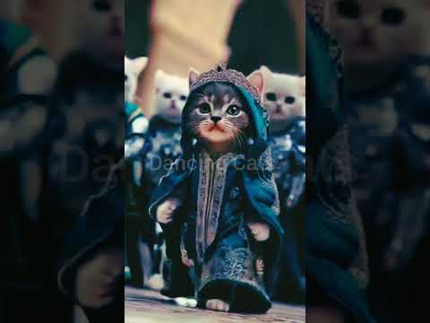 Cat walk #shorts #viralshorts #music #saharscats