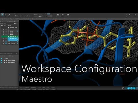 Maestro - Workspace Configuration